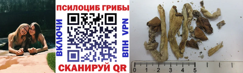 Псилоцибиновые грибы прущие грибы  Котлас 